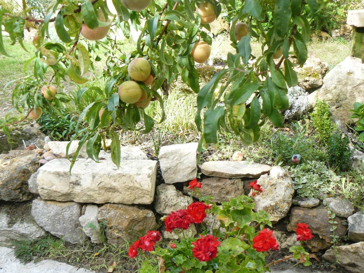 La Maison De Saumur Dış mekan fotoğraf